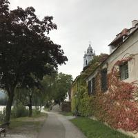 Brenda Haven