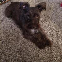 TK Abbott