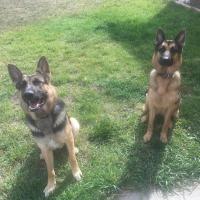 Cat Guy