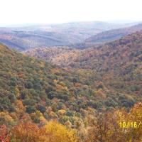 Christine Stull