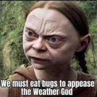 Jim McDonald