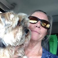 Carol Woodward