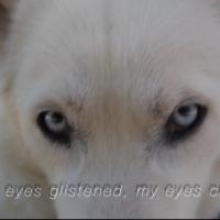 Dwayne Jones
