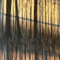 Tammy Lowe