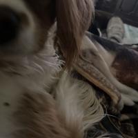 Jamie Nelson