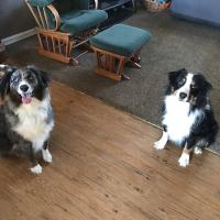 Rhiannon Dennis