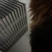 Tisha Masri