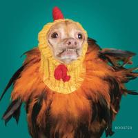 Christy Coleman