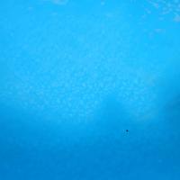 J Moe
