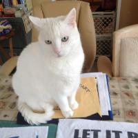 Virginia Vackar
