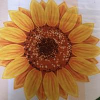 Kate Cress
