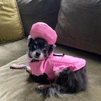 Linda Gordon