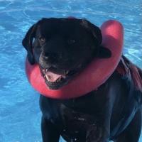 Barbara Kym Delisi