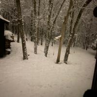 Jackie Schuster