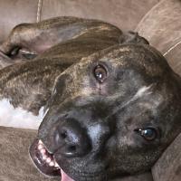Helen Eaton