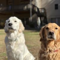 Lynne Yandura