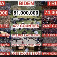 Kevin
