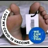 Scott CJ