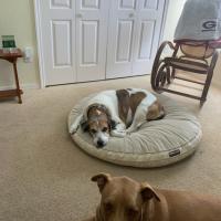 Steven King