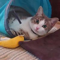 Deborah Lindmar