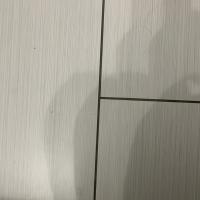 Julie Stiltner