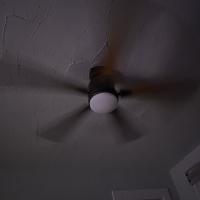 Catherine Flauter