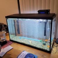 Emily Pixley