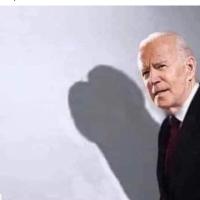 Julie Fiala