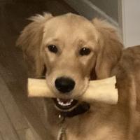 Patricia Kimzey