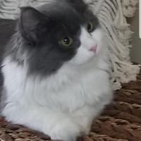 Nancie OConnell