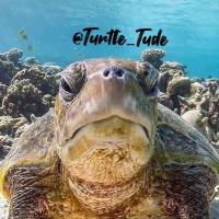Meg Ann