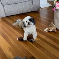 Michael Rooney