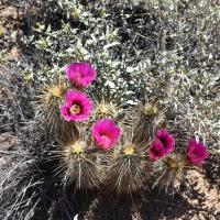 Jerry Holtzman