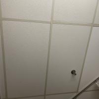 Raymond Farina