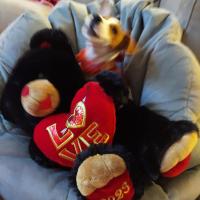 Nichole Pangerl