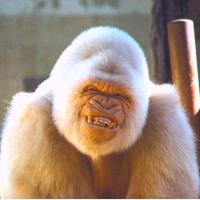 Glen Cast