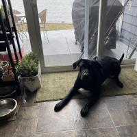 Luz Hook