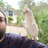 Zachariah MCNAUGHTON
