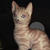 Colleen Collins