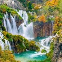 ADAM WASHBURN