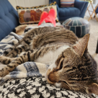Peggy Huey