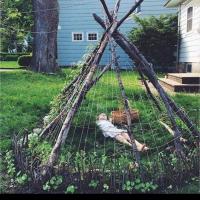 Anna Fontenot