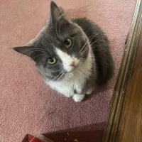 brenda nederhoff