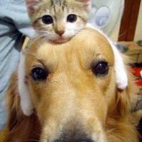 Christine Hemmen