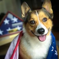 Walter Afalla