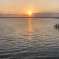 Therese Kokinda
