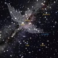 Toni Anne Reagan