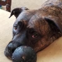 Rick Keltner