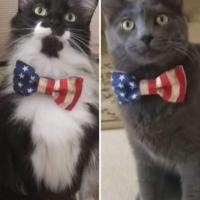 Debbie Cheatham