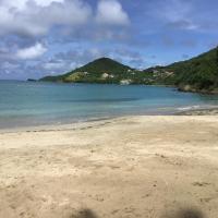 Debra Jensen